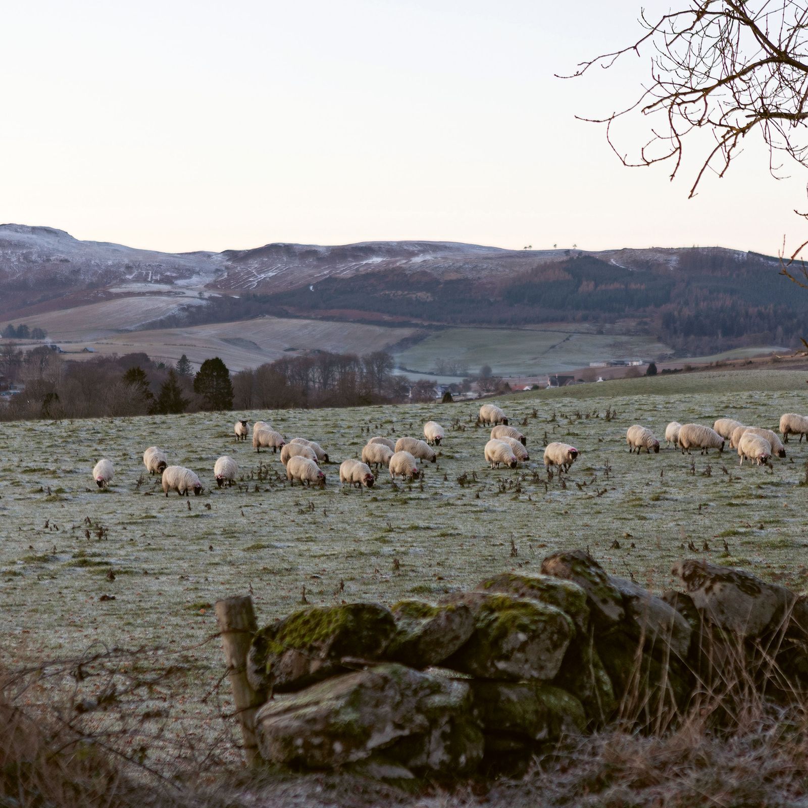 An ode to winter in the Scottish Highlands