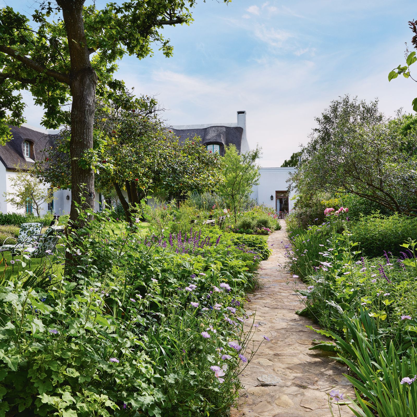 A magical South African garden that blurs into the landscape of the Western Cape