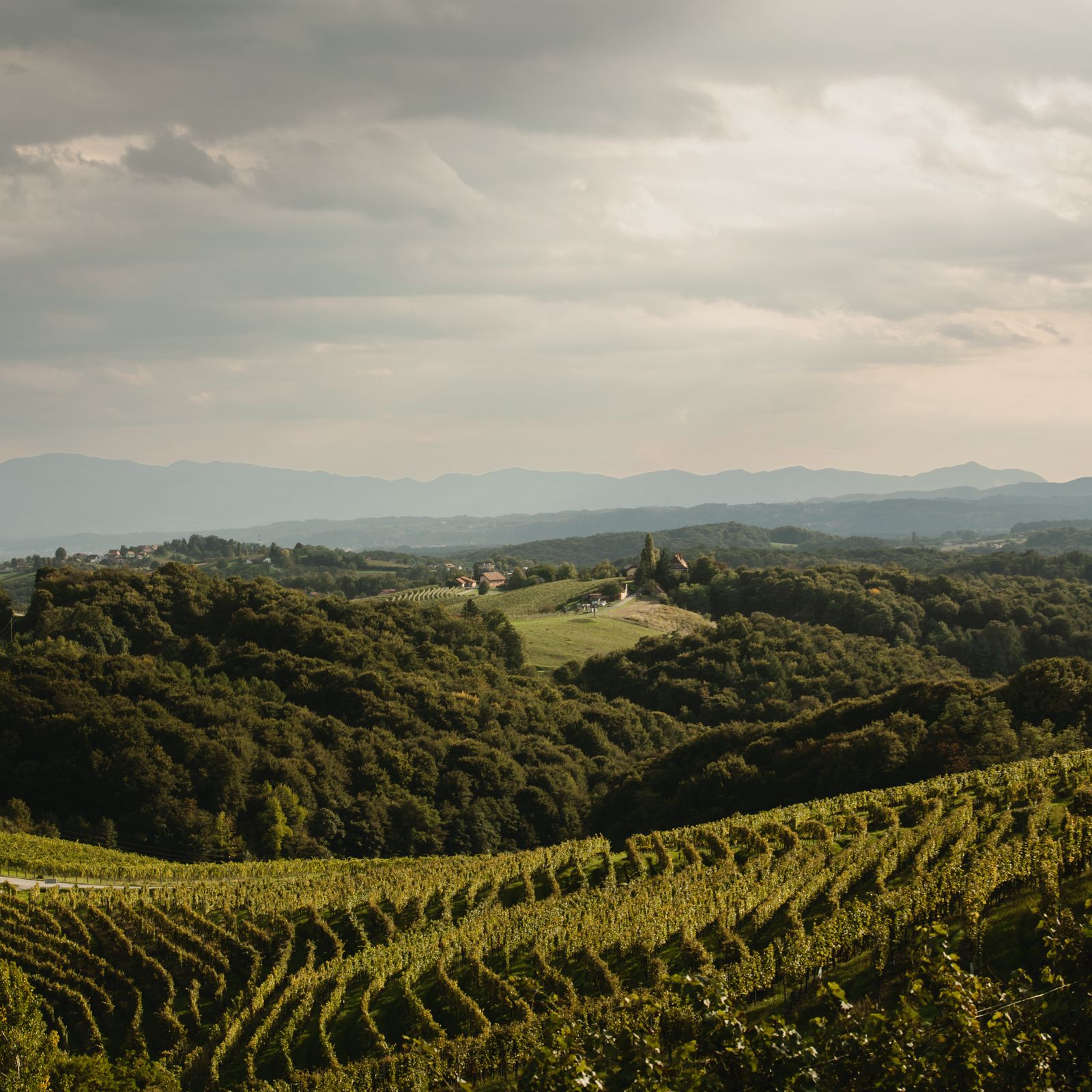 Discovering the Alpine delights of Slovenia's idyllic countryside